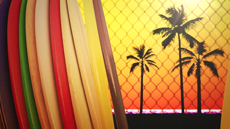 Closeup-surfing-boards-and-tropical-leaves-with-summer-background-7