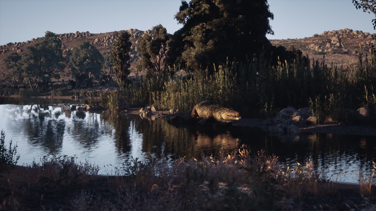 Crocodile resting by tranquil river in natural landscape at dusk