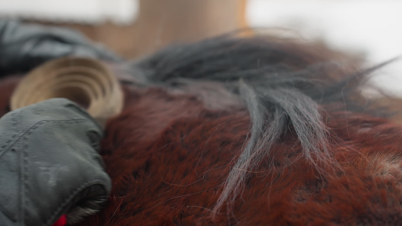 No se ha proporcionado ningún texto de entrada para procesar. Su mensaje no incluía ninguna información textual que analizar. No se pueden generar variaciones porque falta el texto original en su solicitud.