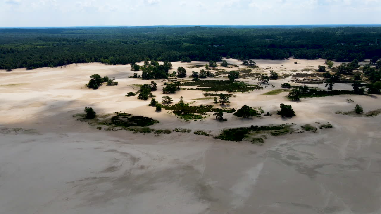 Orbita aerea di un'oasi verde in bellissime dune di sabbia.