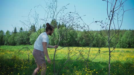 caucasian man planting dried plant with branches on spring flower fields