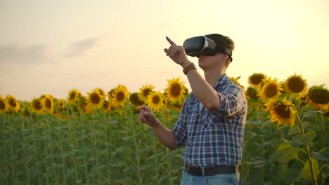 a young farmer in plaid shirt and jeans uses vr glasses on the field with sunflowers for scientific development. these are modern technologies in summer evening.