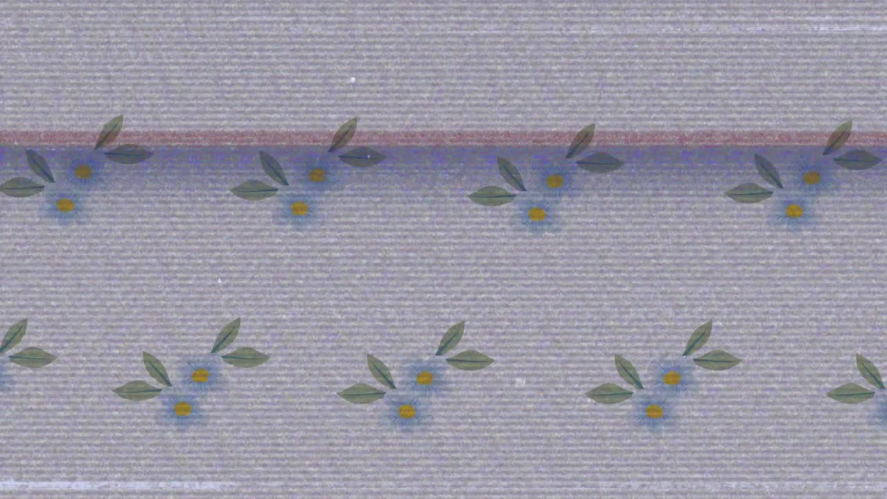 꽃 패턴 위의 오류와 함께 화면의 애니메이션