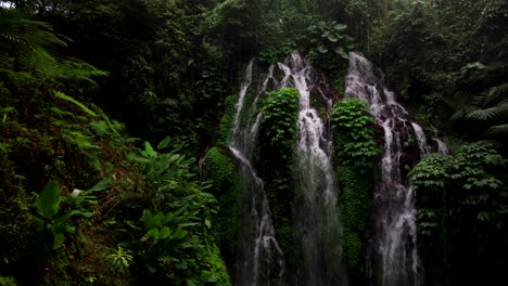 Cascada-Cae-Desde-Lo-Alto-Pasando-Por-Una-Exuberante-Vegetación-Verde