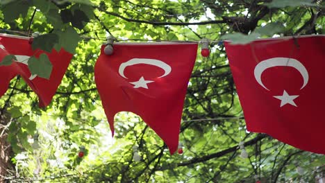 turkish flags hanging from trees