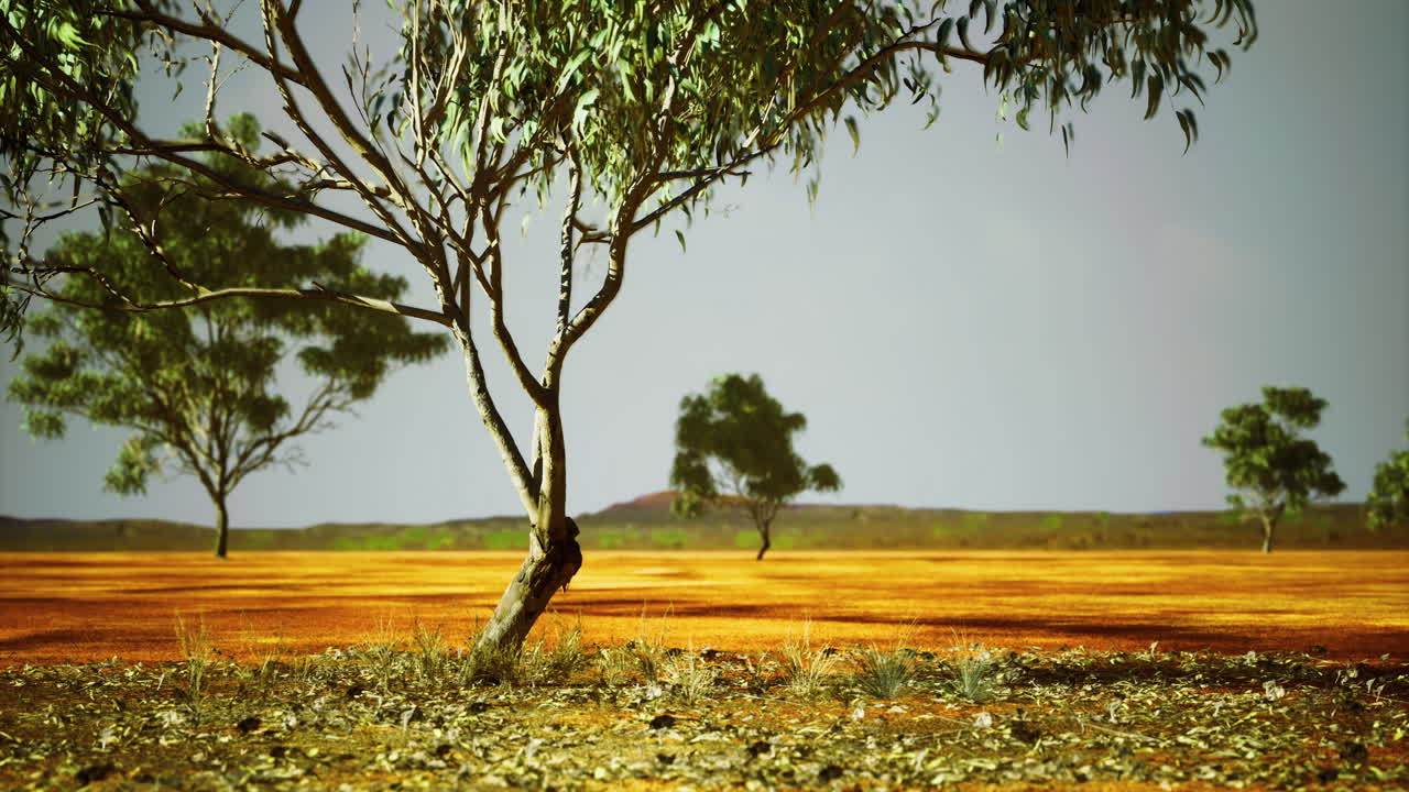 Vibrant landscape featuring eucalyptus trees under a clear sky in australia