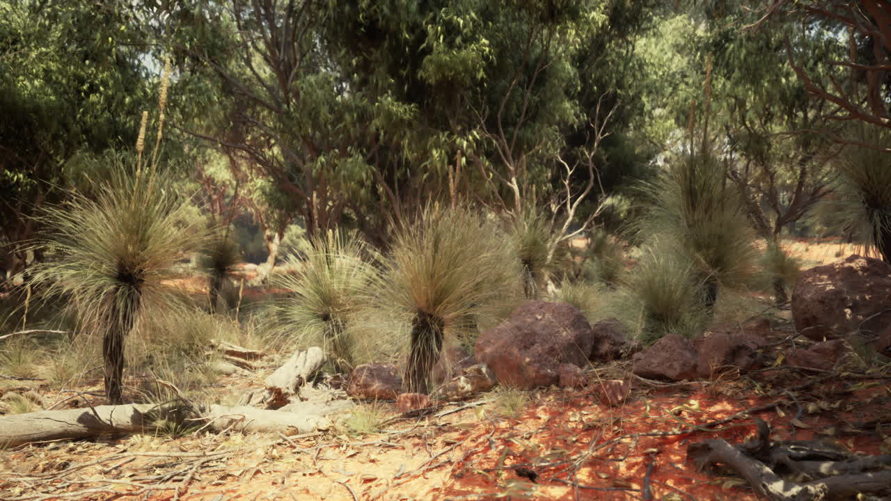 오스트레일리아 아웃백 풍경