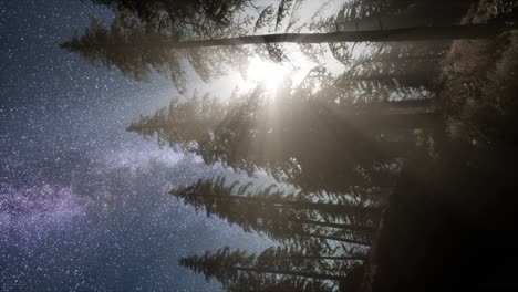 Milky-Way-Galaxy-over-Forest