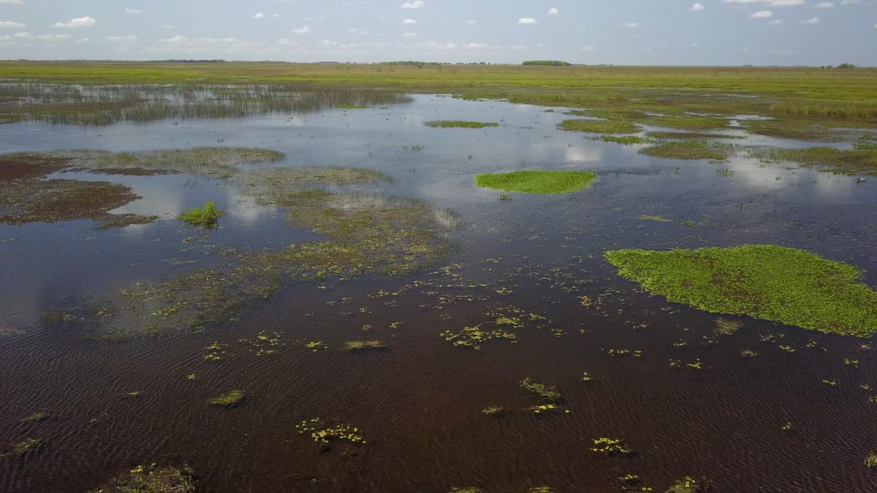 Zone umide del nord-est dell'Argentina riprese con drone