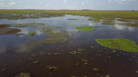 humedales del noreste de argentina disparados con drones