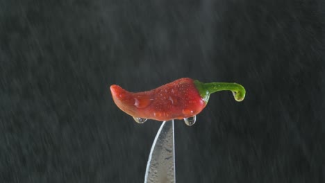 small red hot chilli in steam of water rain up close establish shot vegetable