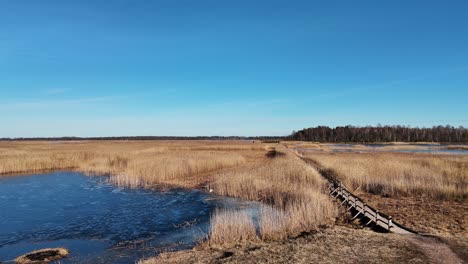 Sendero-De-Madera-A-Través-Del-Lago-Kaniera-Cañas-Tiro-Aéreo-De-Primavera-Lapmezciems,-Letonia