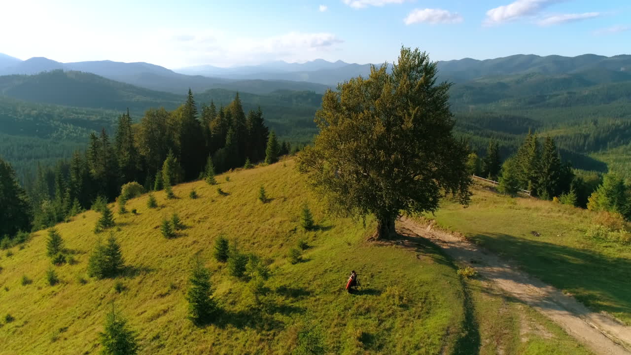 Female musician on the background of green nature. Music is performed by a cellist among picturesque mountains at sunset. Camera moving down.