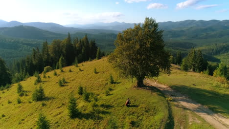 female musician on the background of green nature. music is performed by a cellist among picturesque mountains at sunset. camera moving down.