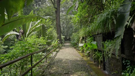 Dolly-En-Camara-Lenta-Parque-Nacional-Desde-Uruapan-Michoacan-Vereda