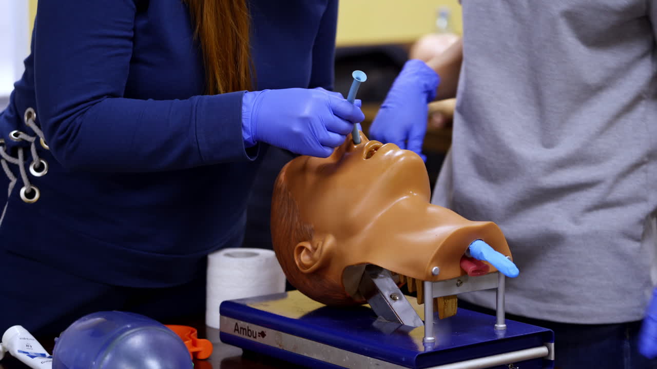 Dummy`s head and intubation set for advance cardiac life support training. Detailed training medical equipment.