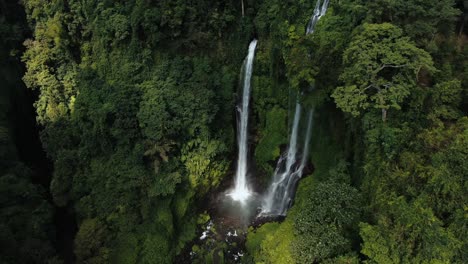 bali secumpul cascada grombong en la selva y en las montañas