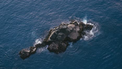 Aerial-view-of-waves-breaking-over-rocks-and-kelp