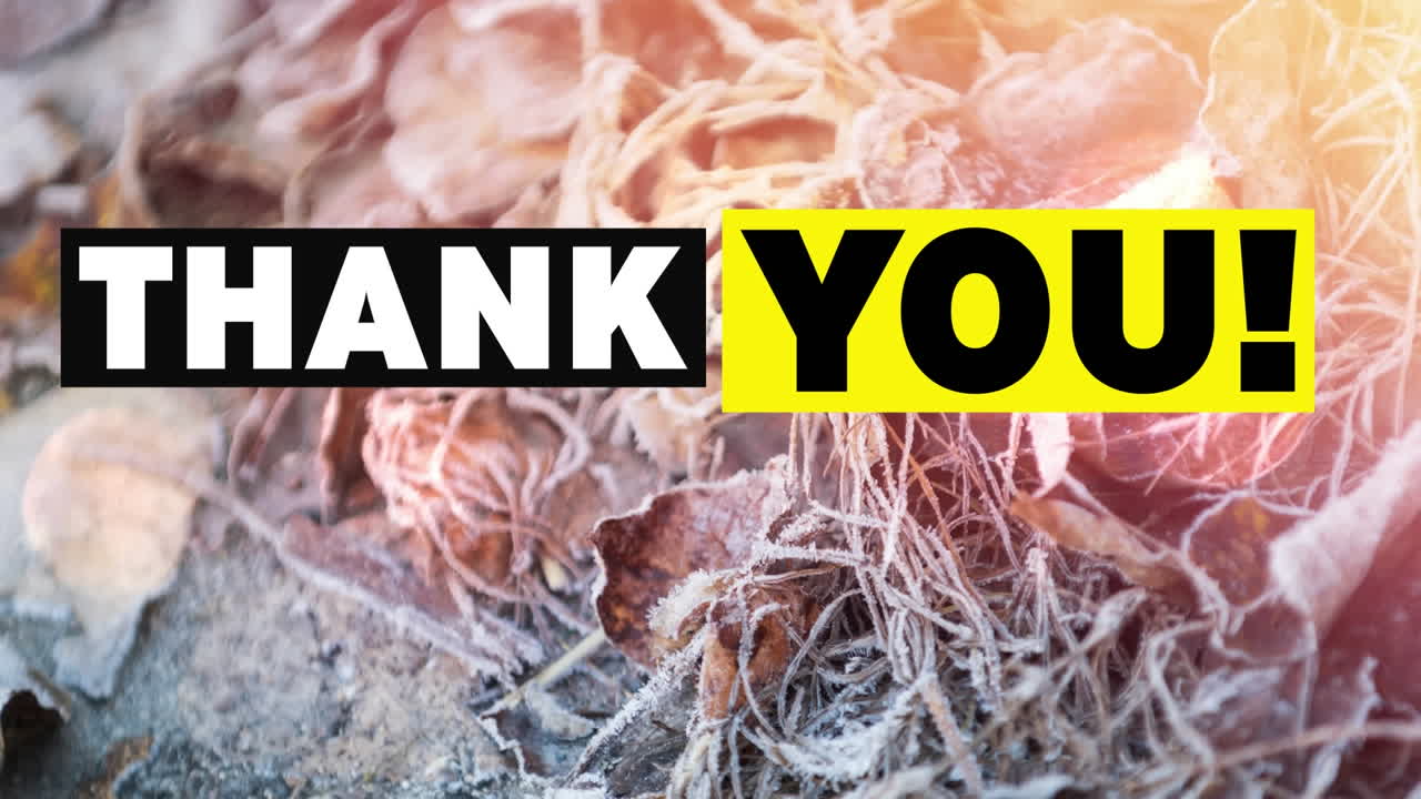 눈으로  ⁇ 인 식물 위의 텍스트에 대한 감사 애니메이션