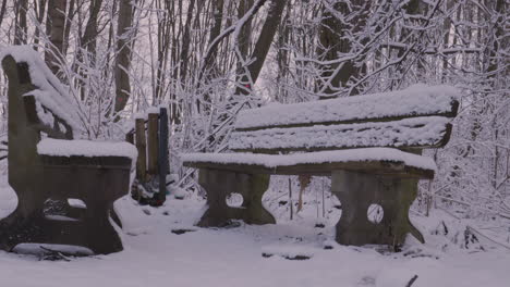 two snow-covered benches in the park