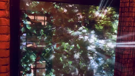 sun rays poking through trees and window into a hazy room. moving shot. vertical video.
