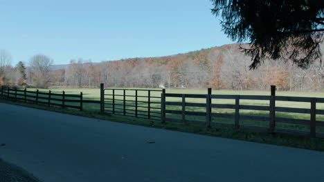 Country-road-in-the-afternoon-with-fence-and-grass