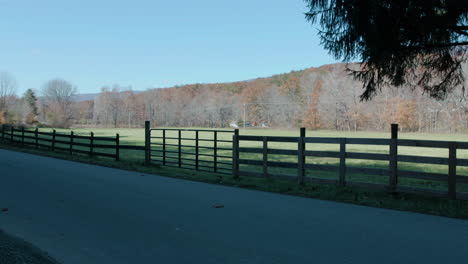 country road in the afternoon with fence and grass