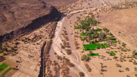 Aerial-birds-eye-shot-of-sunlight-over-dry-desert-with-few-green-plantation-fields-in-Zagora,Morocco