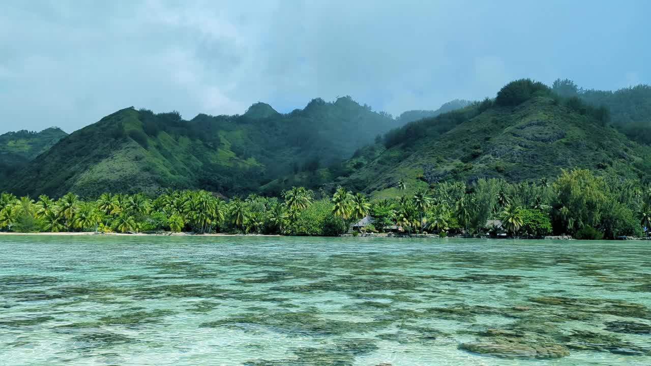 Scenic coastal landscape of Moorea Island in French Polynesia with crystal clear ocean water and green forest trees on tropical island destination