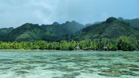 scenic coastal landscape of moorea island in french polynesia with crystal clear ocean water and green forest trees on tropical island destination