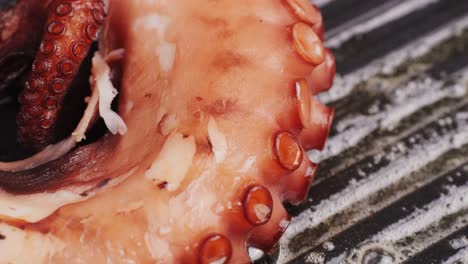 octopus cooking, chef grill fresh octopus galician style on restaurant kitchen, healthy food, seafood cafe in spain, traditional asian japanese spanish and mediterranean dish.
