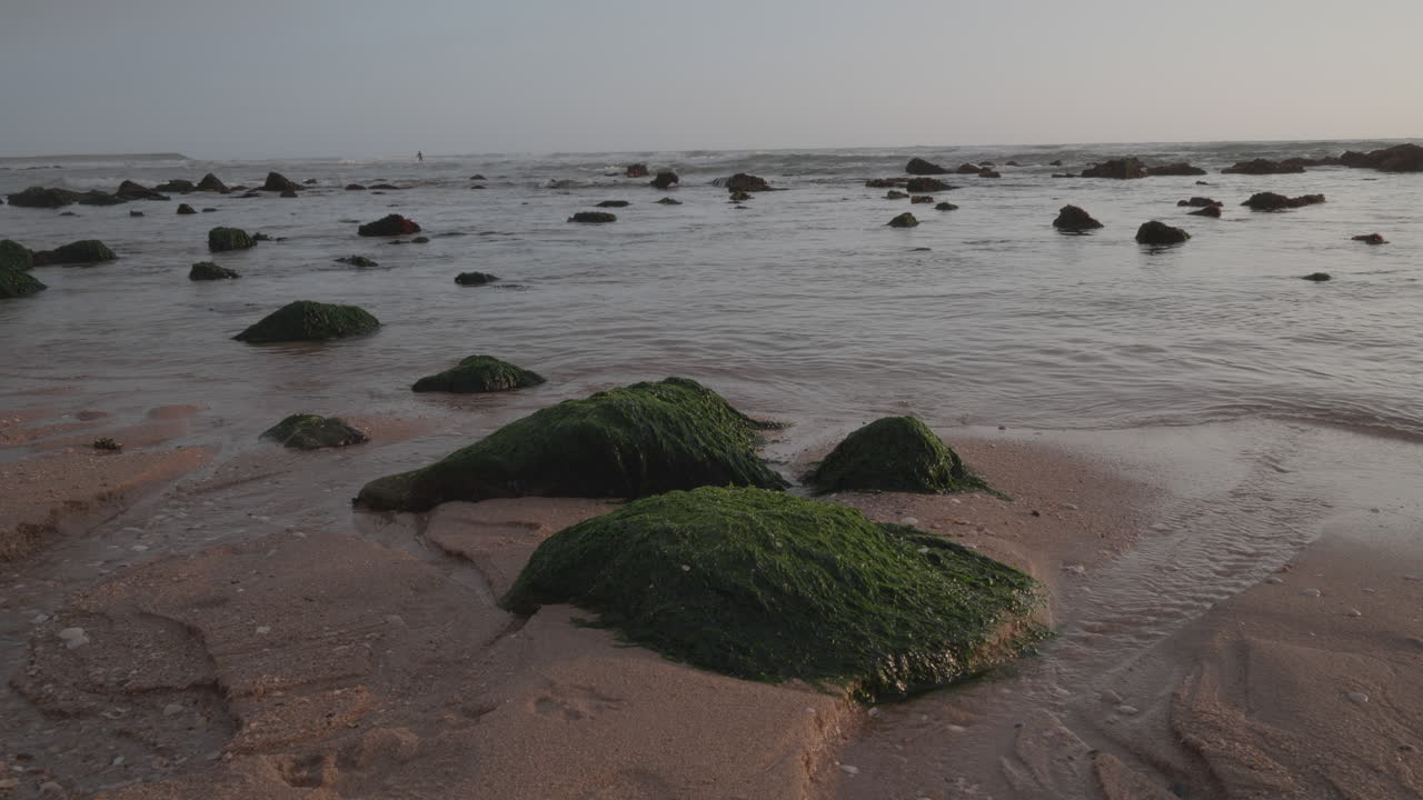 일몰 시간 동안 해변