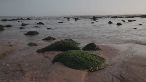 una playa durante la hora del atardecer