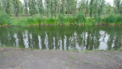 Pull-front-De-La-Tierra-Al-Lago-En-Medio-De-árboles-En-Un-área-Natural-En-La-Ciudad-De-México,-Con-Reflejo-De-Vegetación