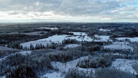 Paisaje-Nevado-Con-Vistas-Panorámicas-De-Un-Denso-Bosque