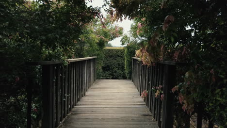 walking towards wooden bridge in a maze garden