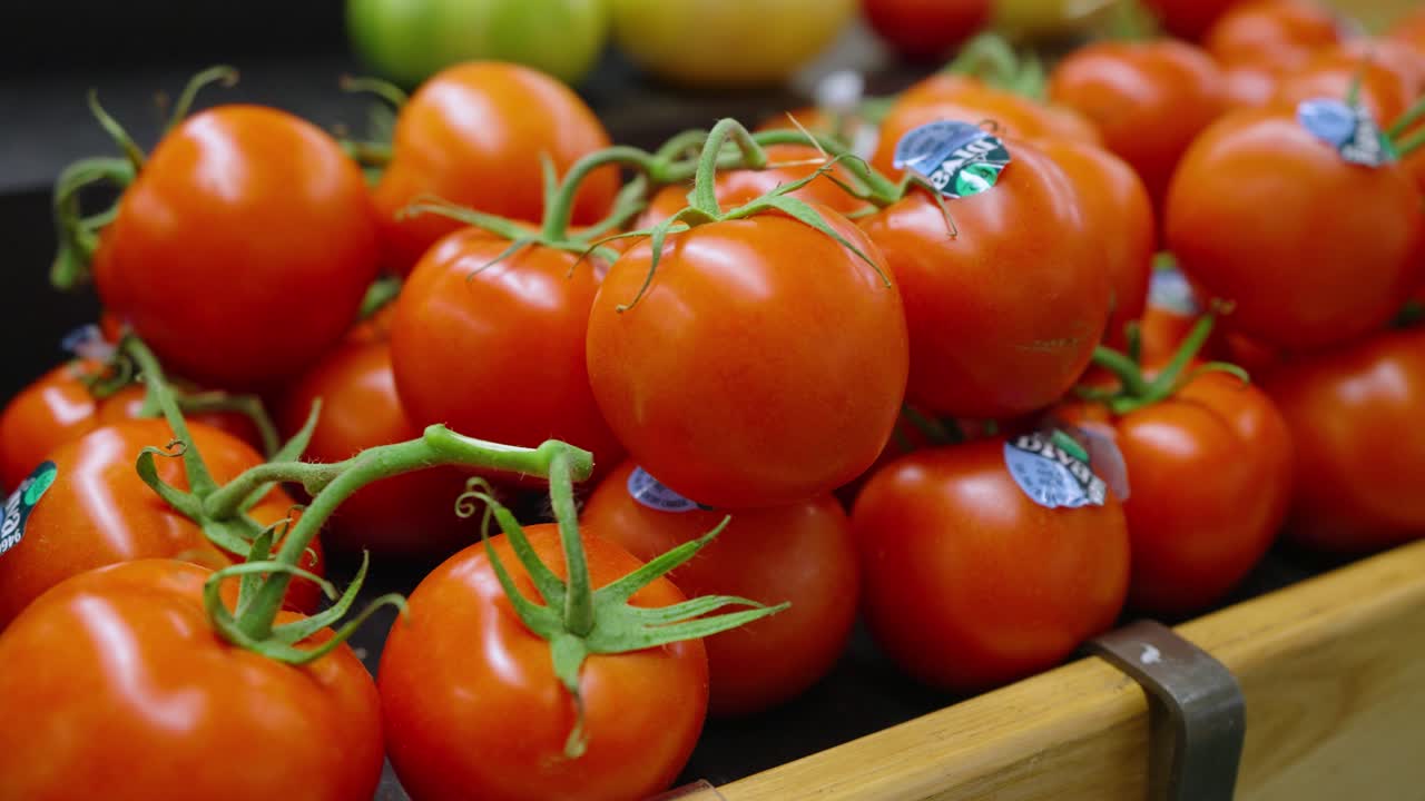 tomates en una vid en una tienda de comestibles