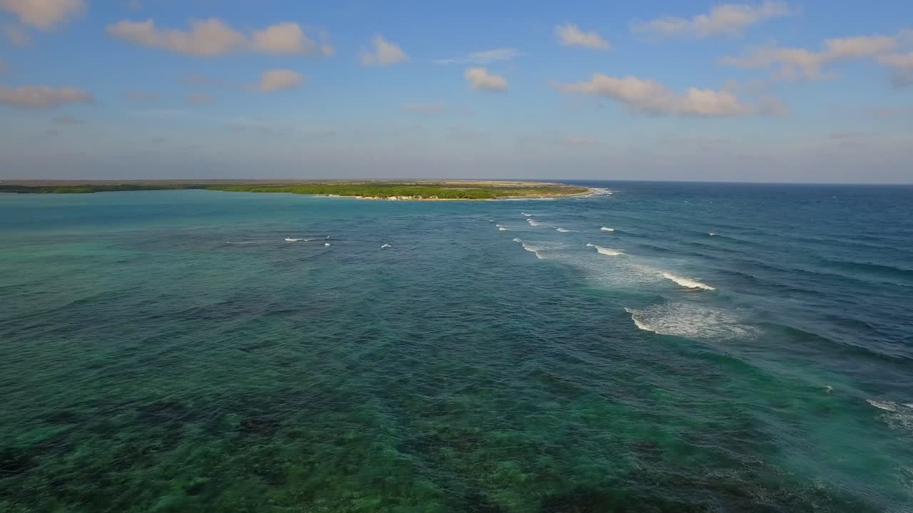 la laguna y los manglares de lac bay en bonaire, antillas holandesas