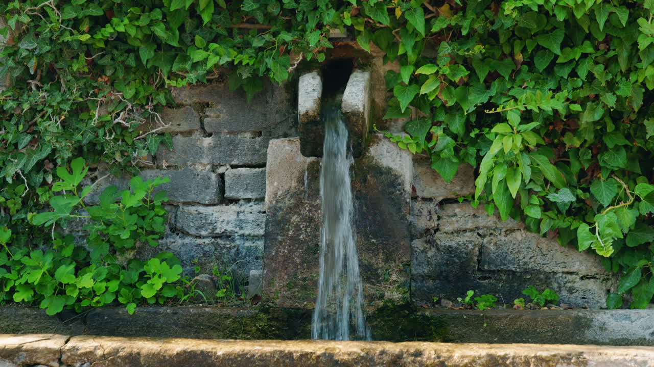 Waterfall with Ivy and Stone Wall