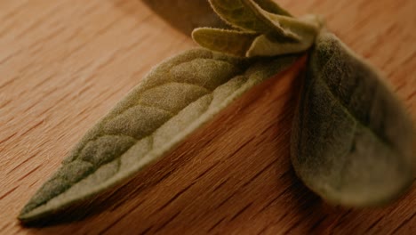 circular shot of green leaf placed on wooden background