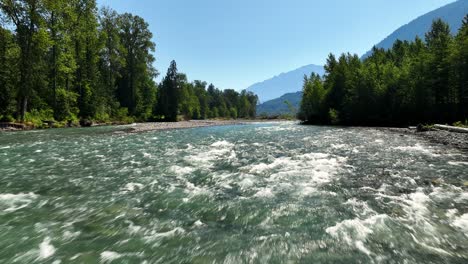 outpouring natural water stream of chilliwack river valley with lush vegetation in bc, canadaa