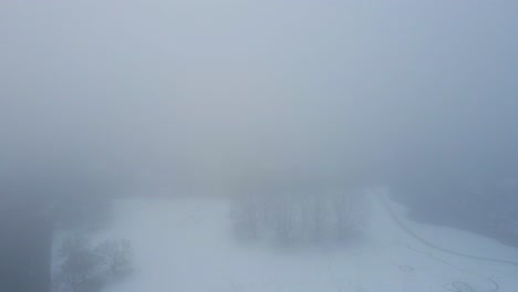 high aerial of trees in snow covered park in a thick mist