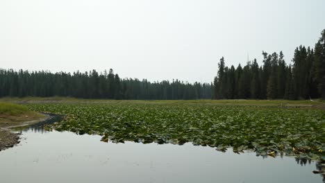 Nature-Landscape-shot-of-the-tranquil-beautiful-Heron-Pond-up-a-hike-in-the-Grand-Teton-National-Park-near-Colter-Bay