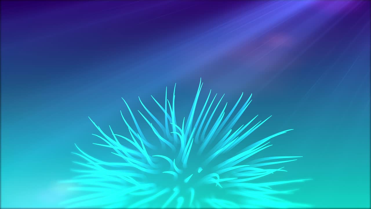 테크 젤리피쉬 디스코 추상적인 것