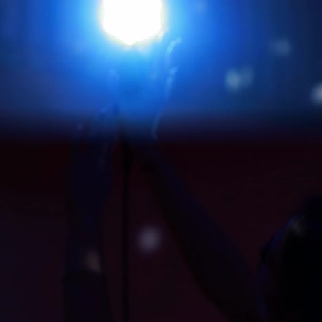 cantante con un micrófono en el escenario
