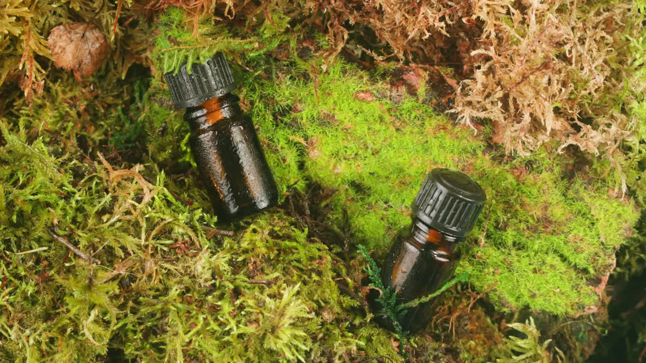 Bottle of cosmetics cream serum on moss forest background green leaves. Woman Make up healthy natural products.