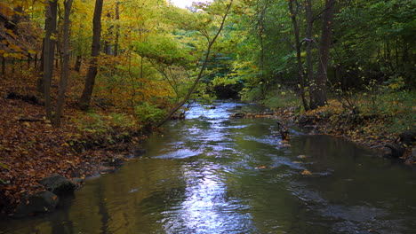 river through the autumn forest