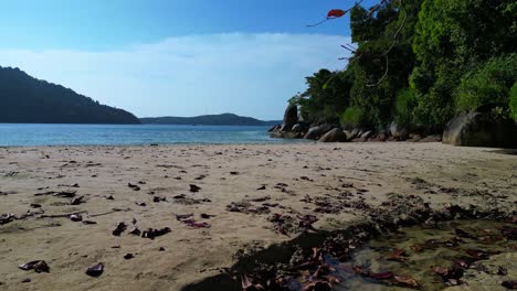 Tropical-paradise-secluded-serene,-sandy-beach-alongside-lush-forest-clear-blue-water