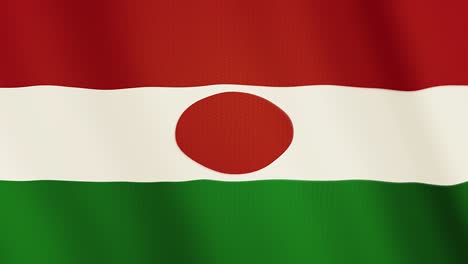 niger flag waving animation. full screen. symbol of the country