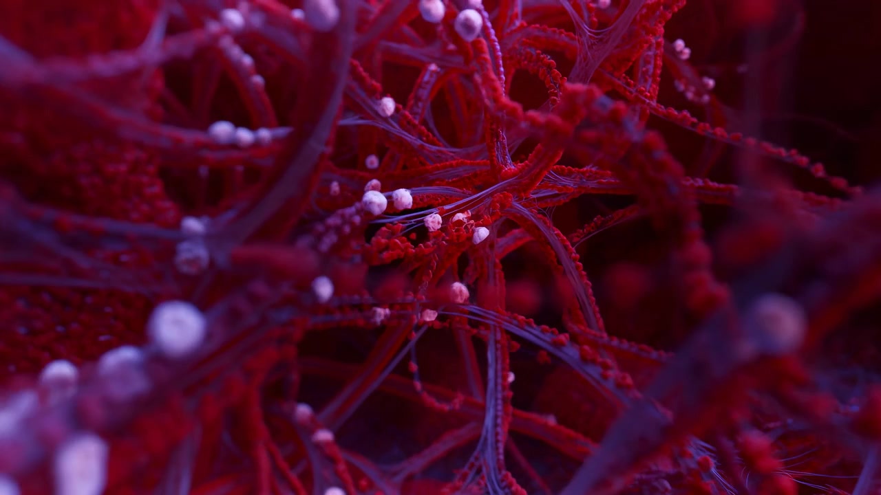 Close-up view of a dense red and purple branching organic network with small bright nodes, filling the frame in soft shallow focus and moody lighting